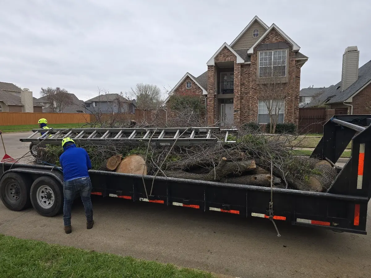 Expert Tree Fertilization with proper safety equipment in Boys Town